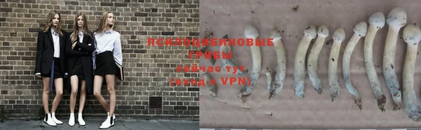 мет Болотное