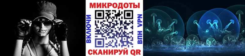 Псилоцибиновые грибы Psilocybine cubensis blacksprut ссылка Кизляр