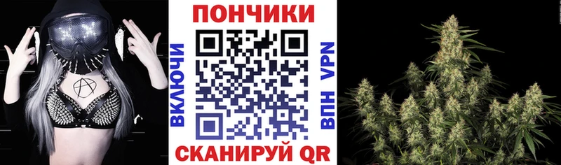 МАРИХУАНА тримм наркотики mega зеркало Кизляр